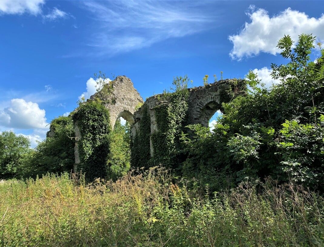 Grey Abbey side view (1) (1)