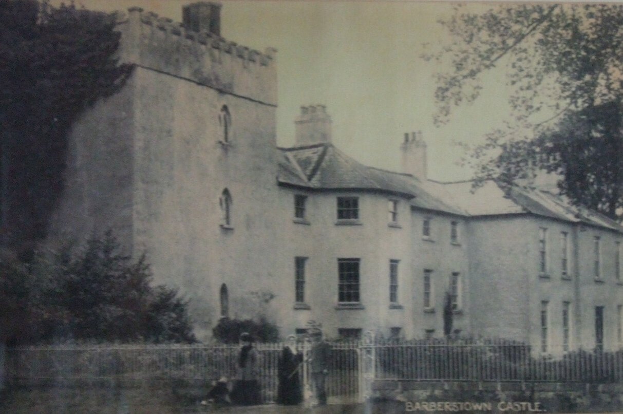 Slider image www.barberstowncastle.ie_v3